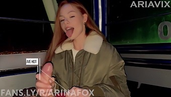 Pov Video Of A Public Blowjob On A Ferris Wheel